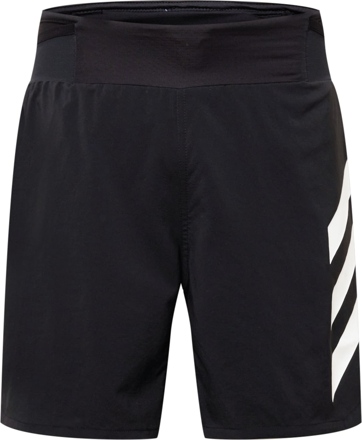 adidas Terrex Sportovní kalhoty 'Agravic' černá / bílá