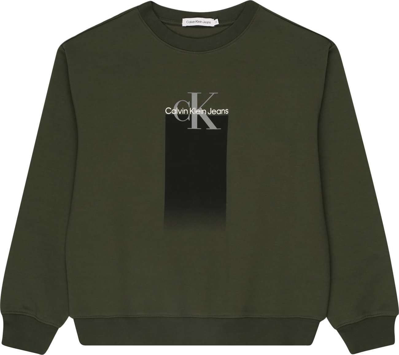 Calvin Klein Jeans Mikina jedle / tmavě zelená / bílá / šedá