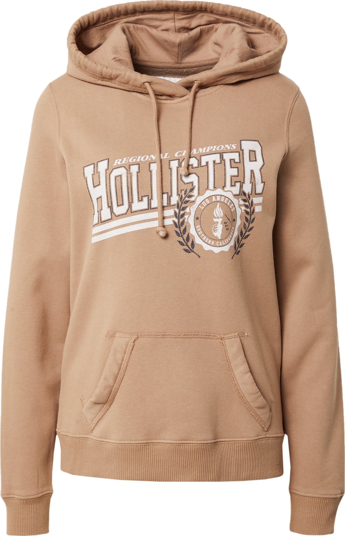 HOLLISTER Mikina hnědá / bílá / černá