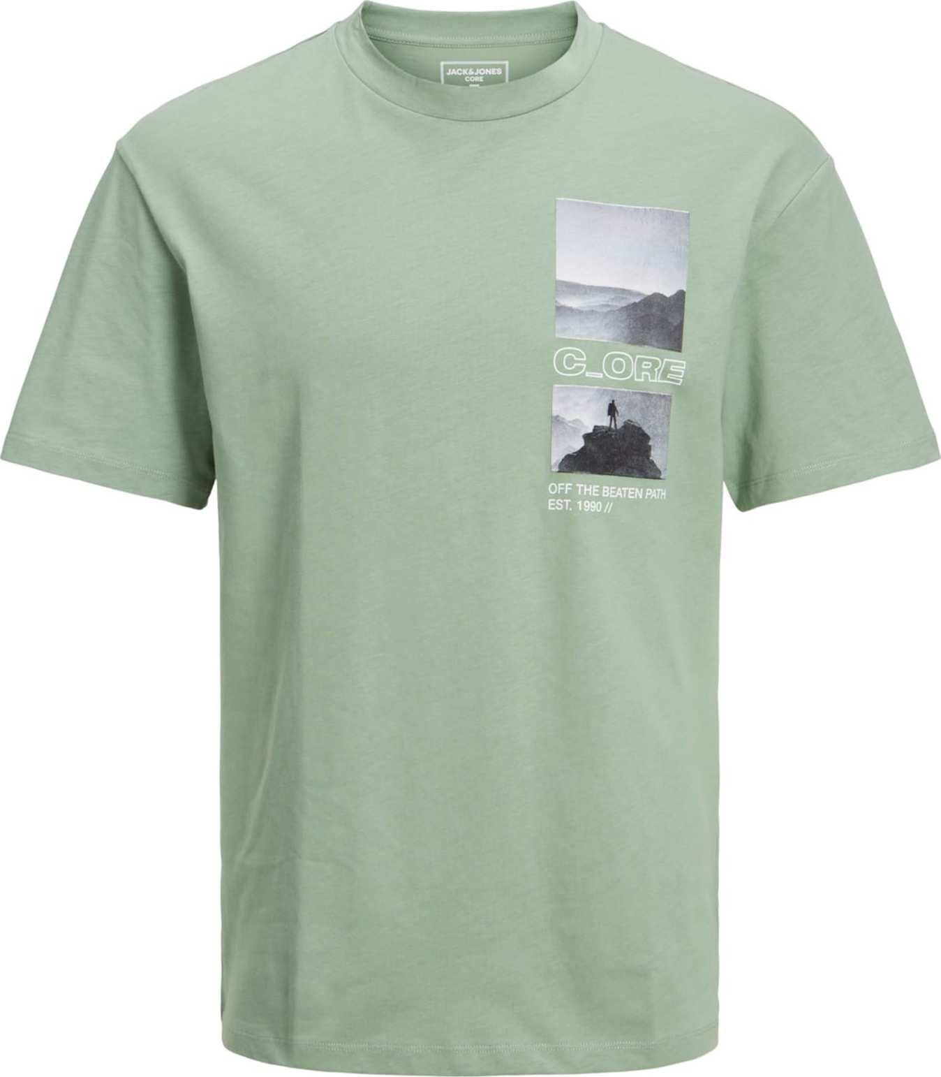 JACK & JONES Tričko 'MAXIM' zelená / mix barev