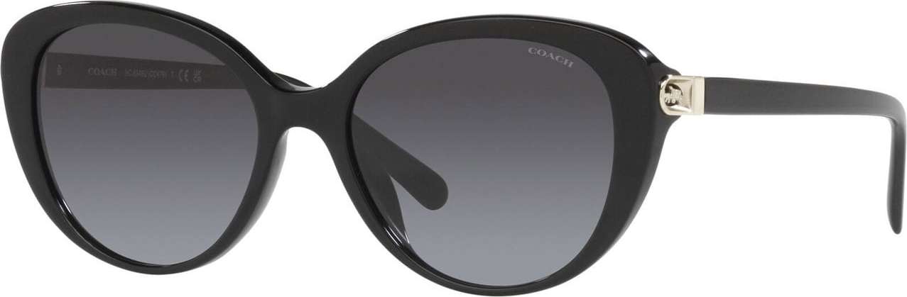 COACH Sluneční brýle '0HC8348U5650028G' černá