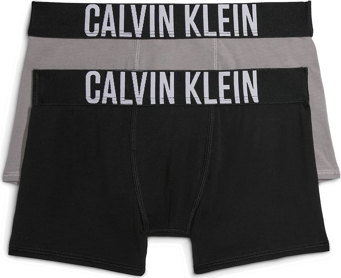 Calvin Klein Underwear Spodní prádlo šedá / černá