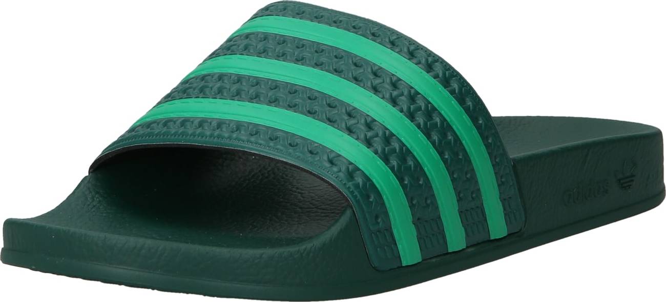ADIDAS ORIGINALS Pantofle zelená / tmavě zelená