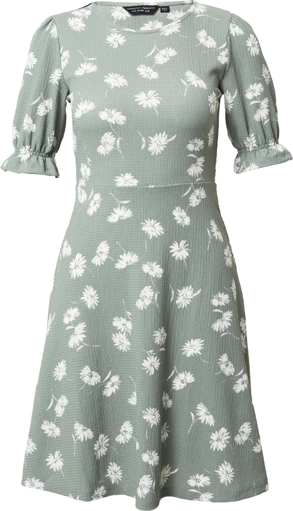 Letní šaty Dorothy Perkins světle zelená / bílá