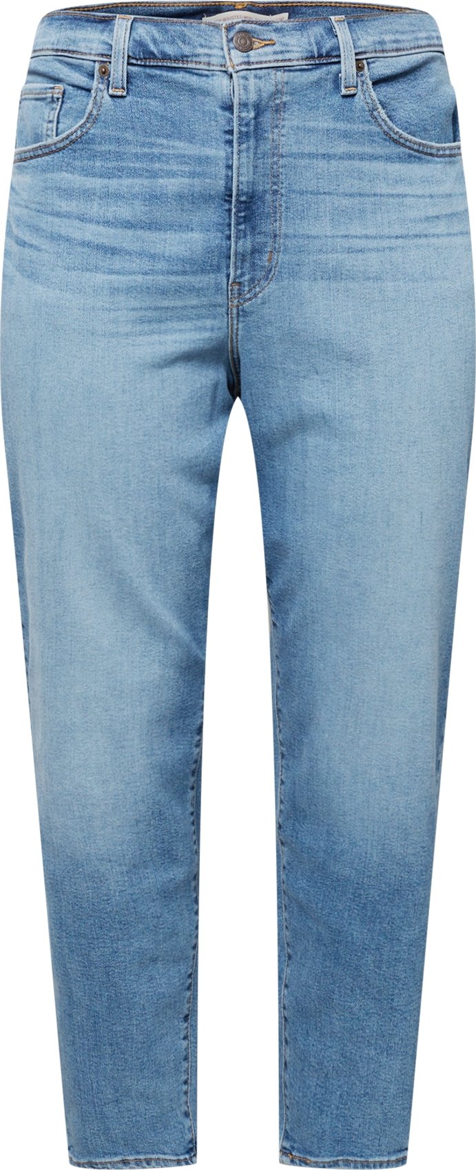 Džíny 'PL HIGH WAISTED MOM JEAN DARK INDIGO - WORN IN' Levi's® Plus modrá džínovina