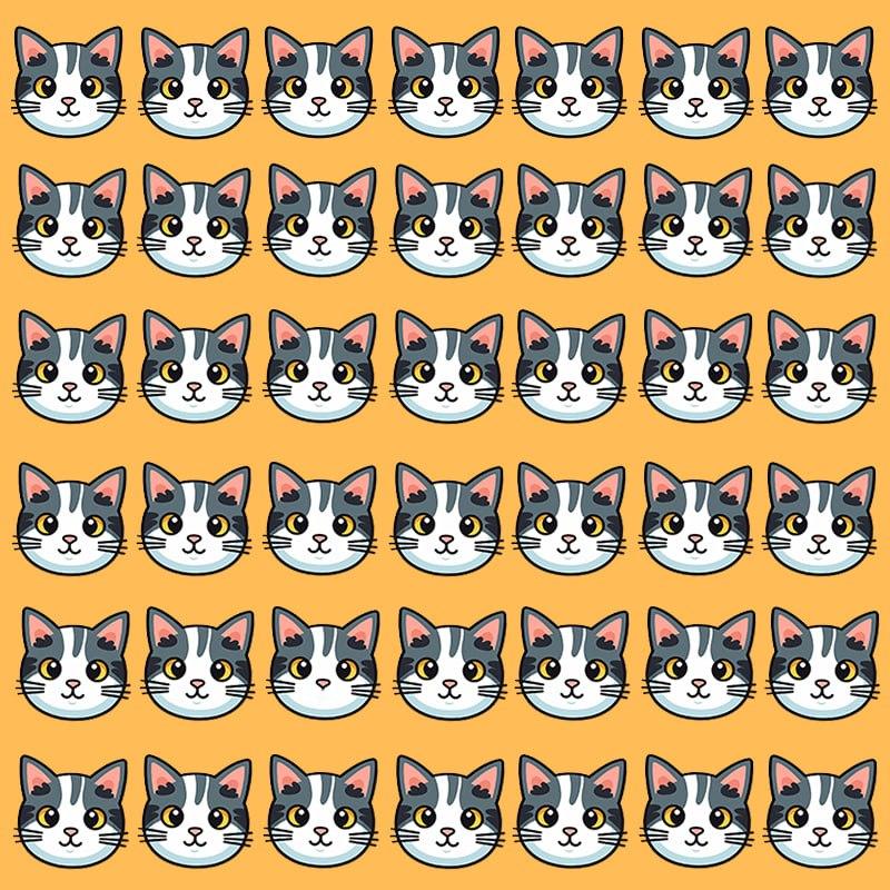 Denne optiske illusion er kun mulig for folk med grandios IQ / Moje image