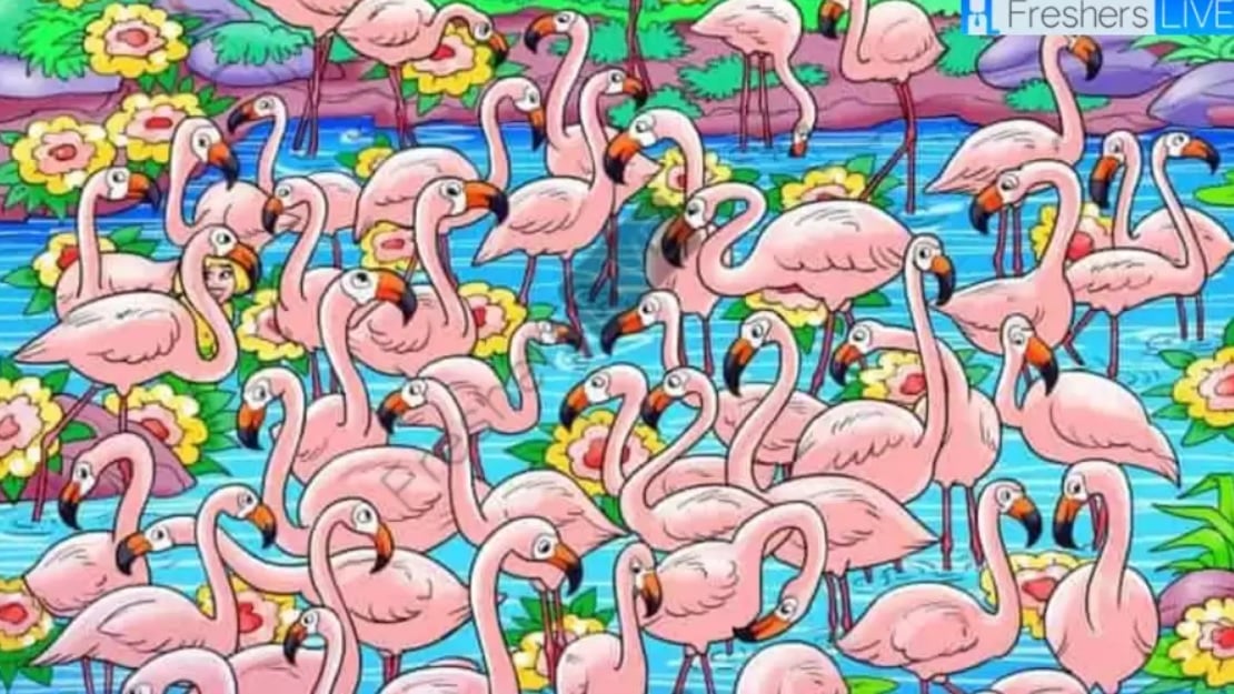 Find pigen blandt flamingoerne på 8 sekunder: dette puslespil vil få dit hoved til at snurre Find pigen blandt flamingoerne på 8 sekunder: dette puslespil vil få dit hoved til at snurre.
