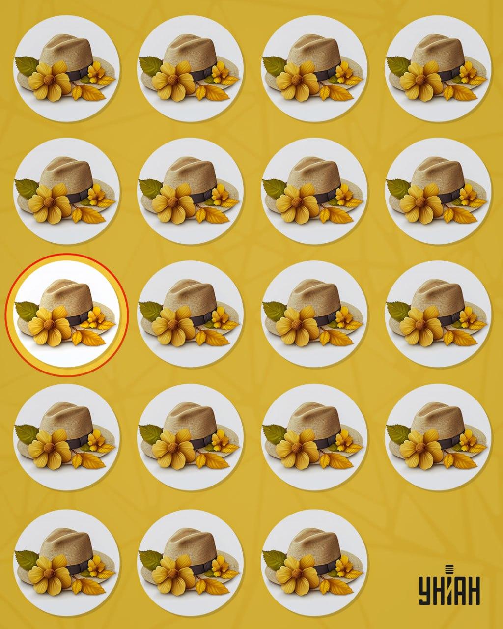 Den mærkelige hat adskilte sig fra resten ved en lille detalje / collage Moje Den mærkelige hat adskilte sig fra de andre ved en lille detalje / Moje collage