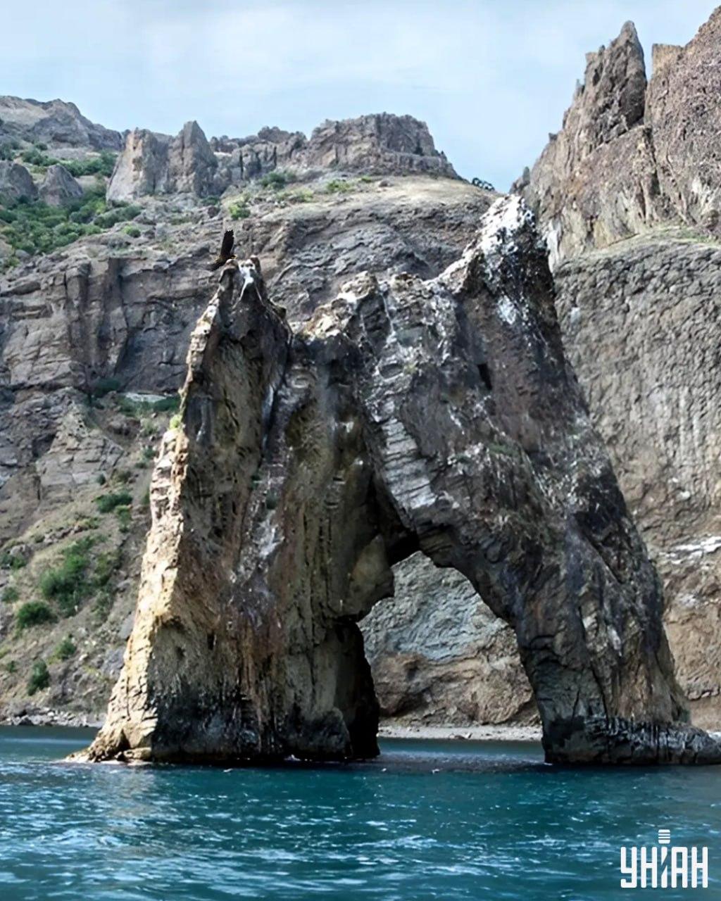 Det tager mindre end 10 sekunder at finde ørnen i puslespilsbilledet / collage med Moje-foto Det tager mindre end 10 sekunder at finde ørnen i puslespilsbilledet / collage med Moje-foto