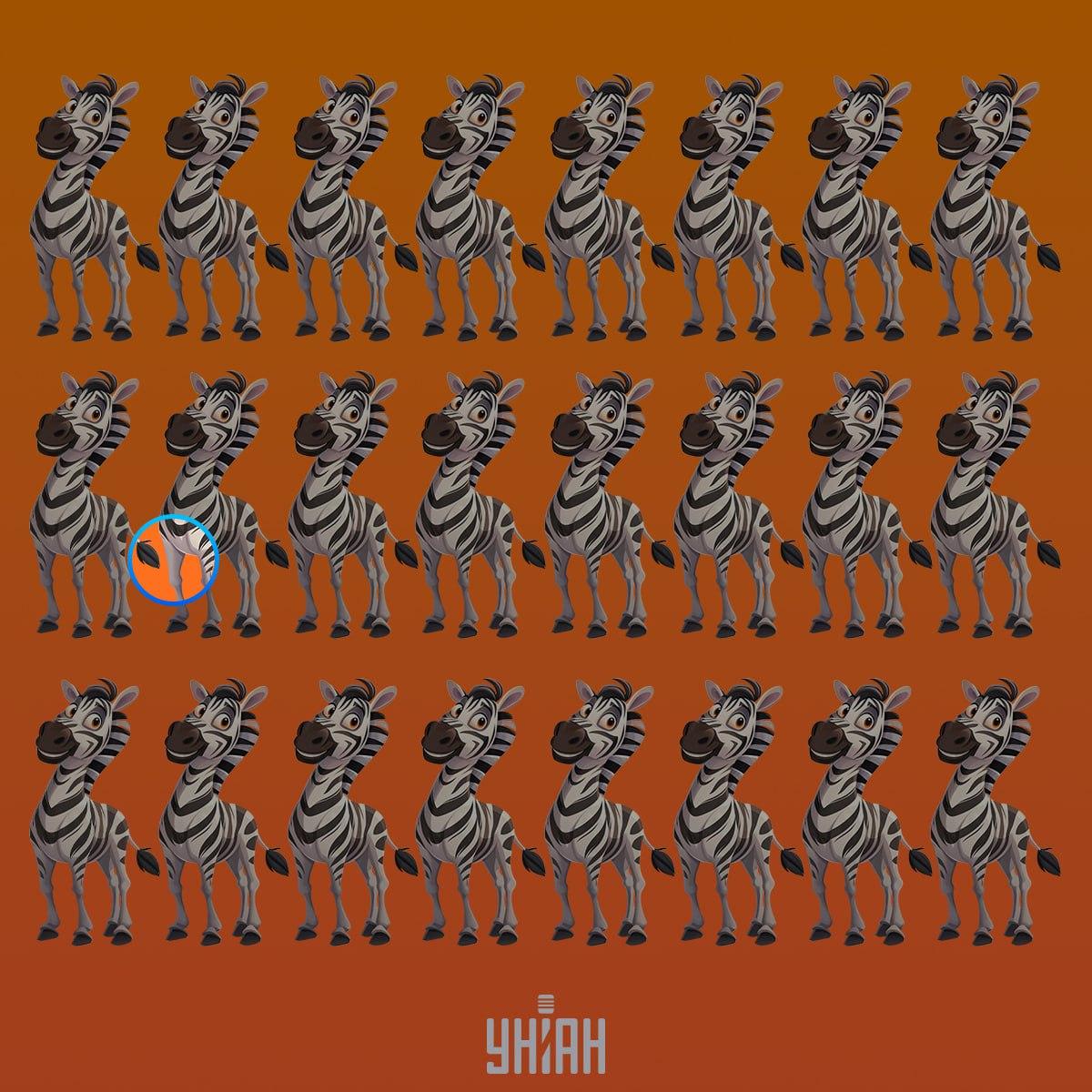 En mærkelig zebra var i anden række fra toppen / Moje-collage