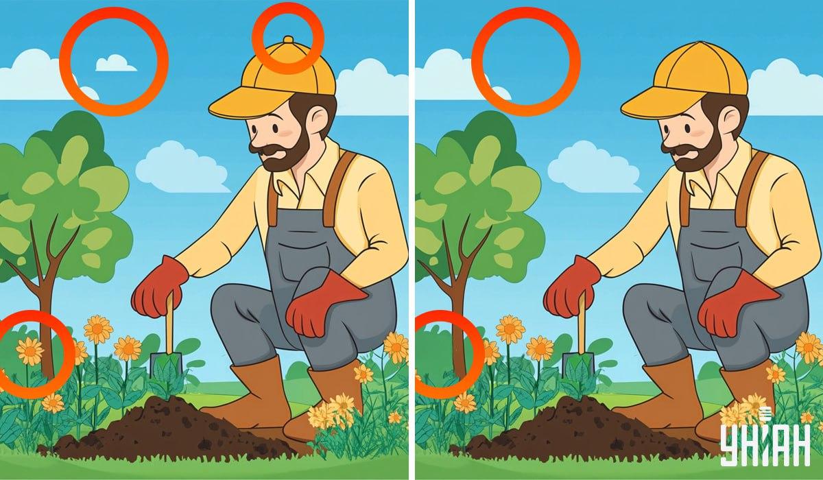 Moje-collage med markerede forskelle