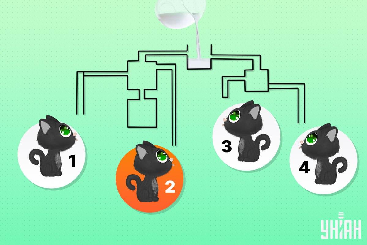 Den heldige kat var nummer 2 / Moje-collage