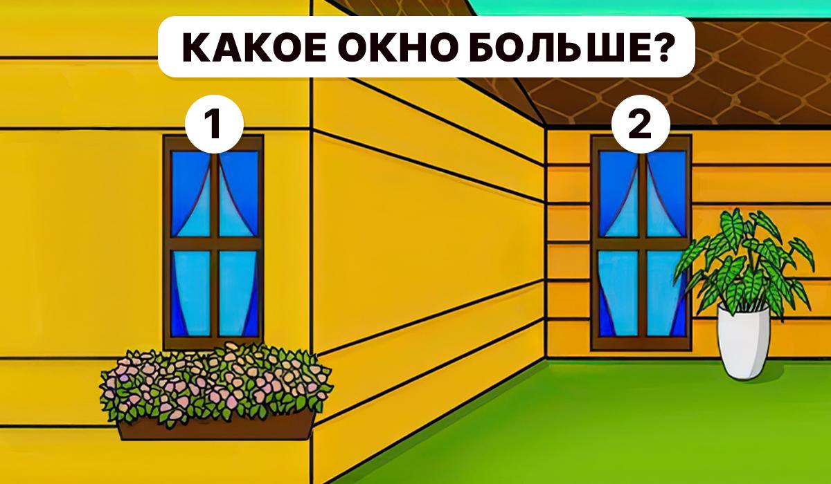 Det er nødvendigt at forstå, hvilket vindue der er størst / Moje-collage