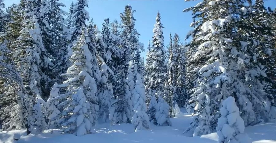 Optisk illusion Optisk illusion