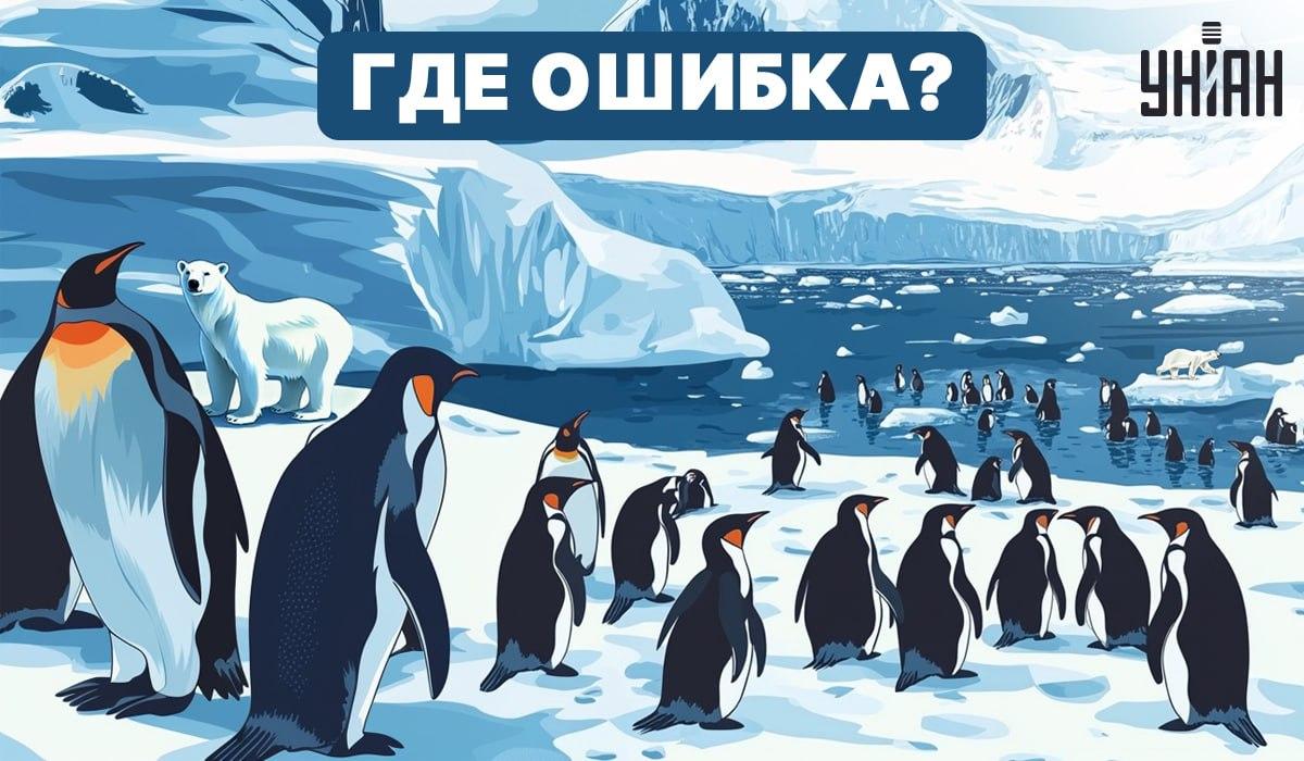 Kan du forstå, hvad der er galt på billedet? / Moje Kan du finde ud af, hvad der er galt på billedet? / Moje