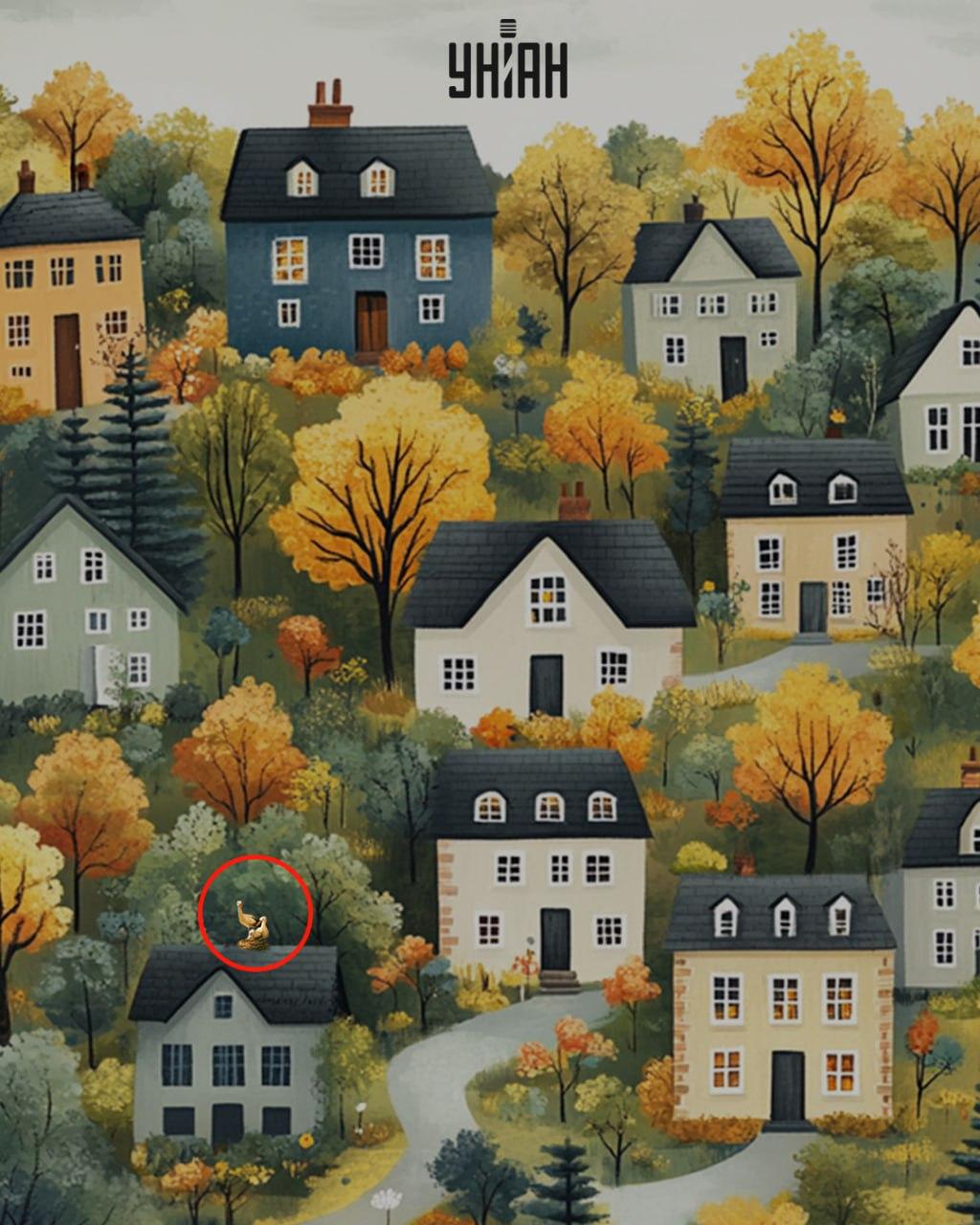 Moje-collage Moje-collage med løsning