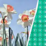 98% af befolkningen kan ikke finde ordet 'forår' på 10