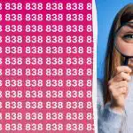 Du har en høj IQ, hvis du hurtigt kan finde