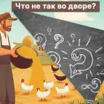 Du skal finde en stor fejl på en bondegård på 5 sekunder: en sjov IQ-test Du skal finde en stor fejl på en bondegård på