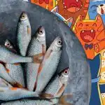 Find fisk blandt katte: et sjovt puslespil for folk med