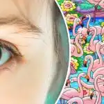Find pigen blandt flamingoerne på 8 sekunder: Dette puslespil vil