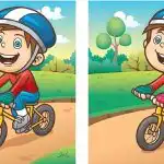 IQ-test: Du skal finde 4 forskelle i billedet af en