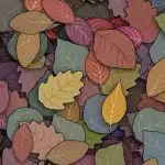 IQ-test for personer med HD-syn: Find frøen i bladene på