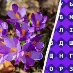 Kun 1 % af befolkningen kan finde ordet "krokus" på 11 sekunder: et meget vanskeligt puslespil at løse Kun 1 % af befolkningen kan finde ordet "krokus" på