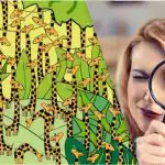 Kun folk med høj IQ vil finde en slange blandt