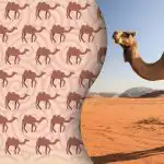 Kun moderne Sherlock Holmes'er vil finde den mærkelige kamel: et