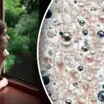 Optisk illusion for de mest opmærksomme: kun genier kan finde