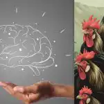 Simpel IQ-test: Find kyllingen blandt hanerne på 7 sekunder