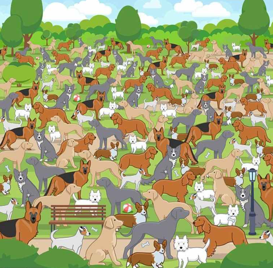 Optisk illusion med mange hunde