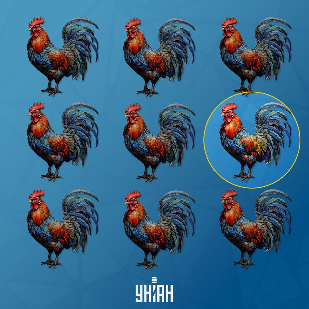 Hanen, som er anderledes end de andre, var til venstre / Moje-collage