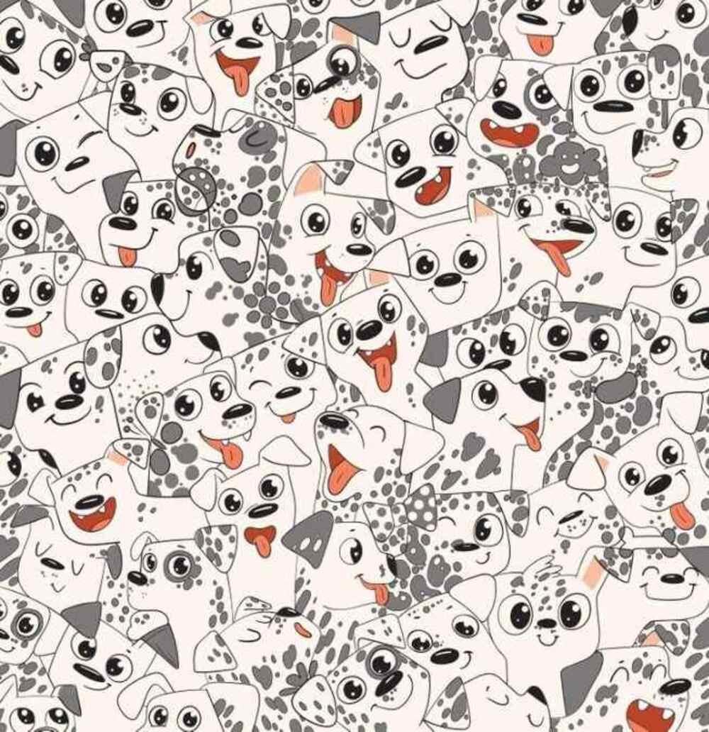 Prøv at finde en sommerfugl så hurtigt som muligt / tegning af Brightside