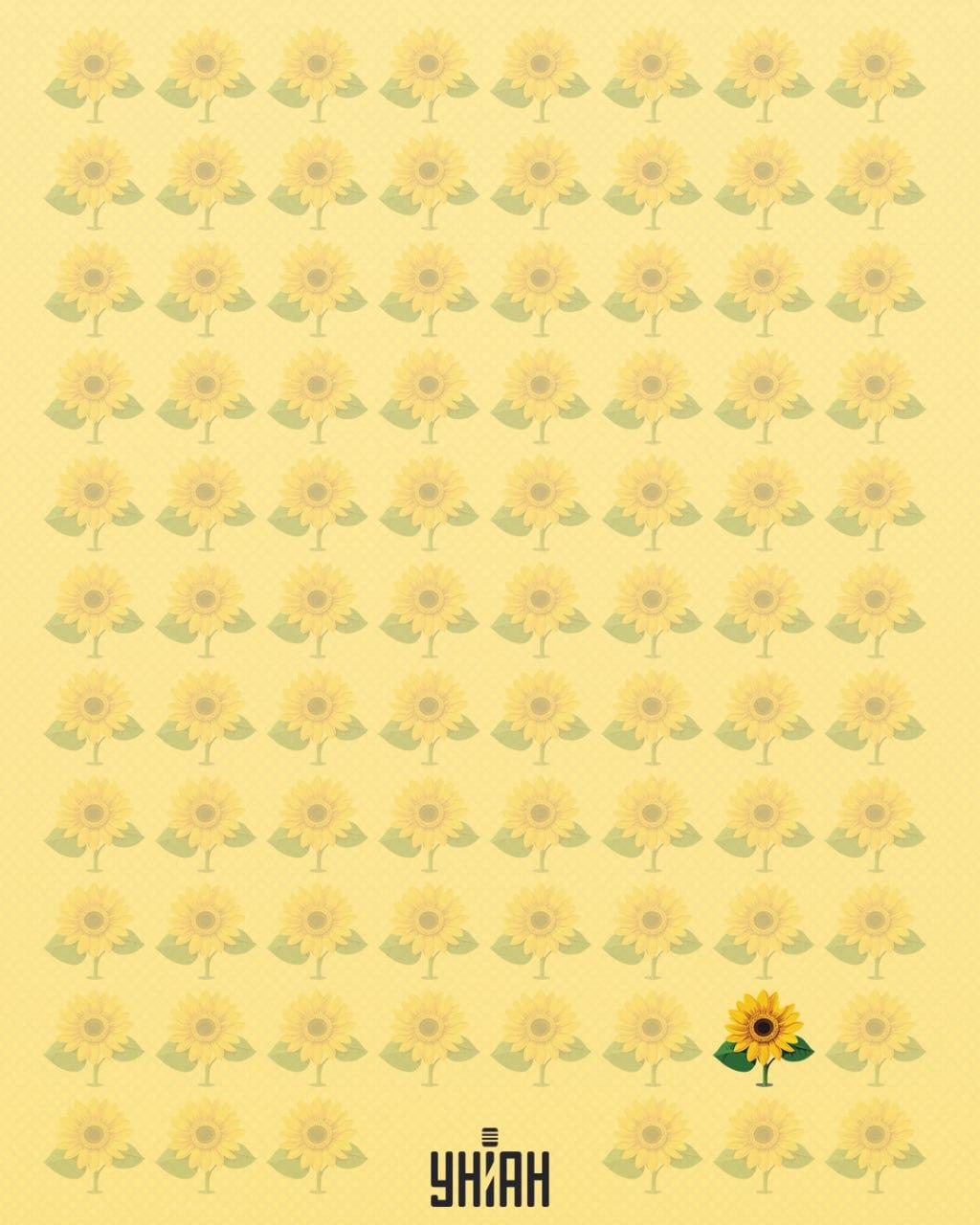 En solsikke, der mangler et kronblad, er blevet kaldt mærkelig / Moje-collage En solsikke, der manglede et kronblad, blev kaldt mærkelig / Moje-collage