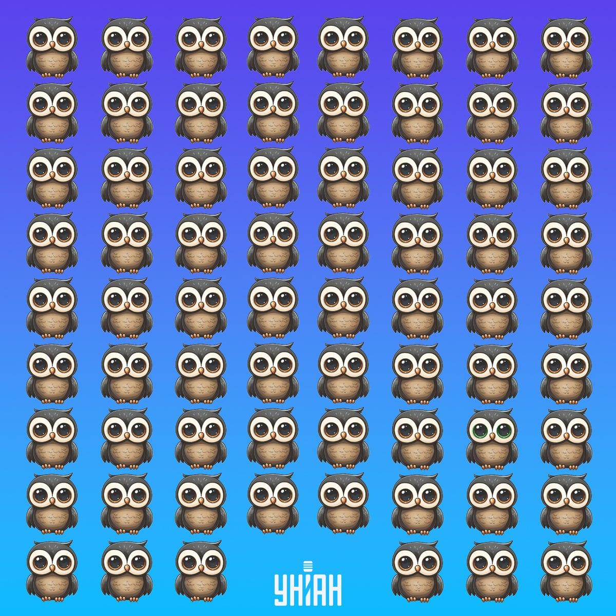 Find en sjælden fugl i tide / Moje-collage