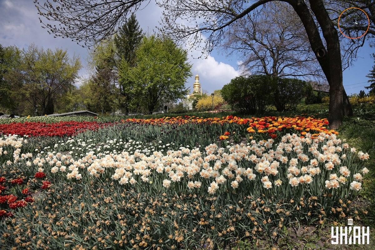En fugl sidder på en gren / Moje collage