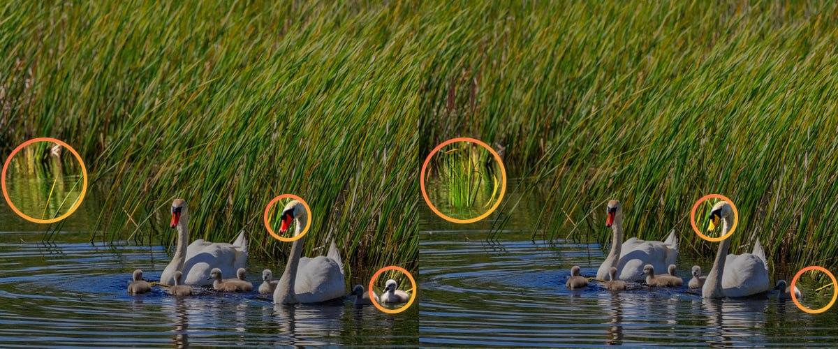 For at klare puslespillet var det nødvendigt at være opmærksom på små detaljer / collage Moje