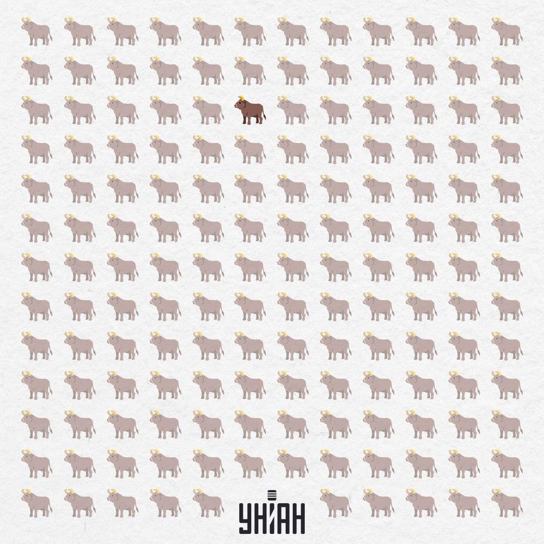 Han gemte sig i midten, næsten fra toppen / Moje Collage