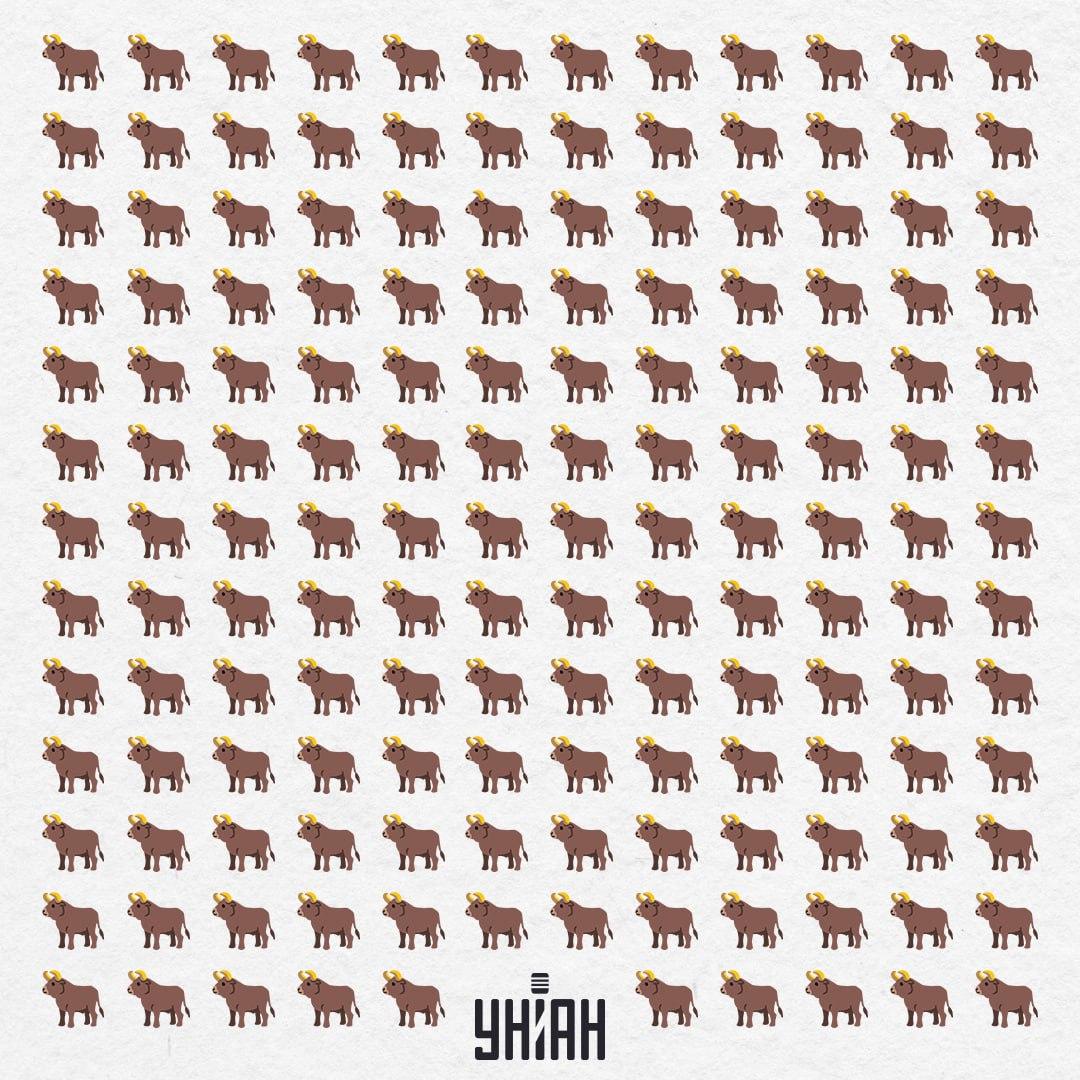 Der er 154 af dem her, men en er ikke som denne - du skal se den på 10 sekunder / Moje Collage