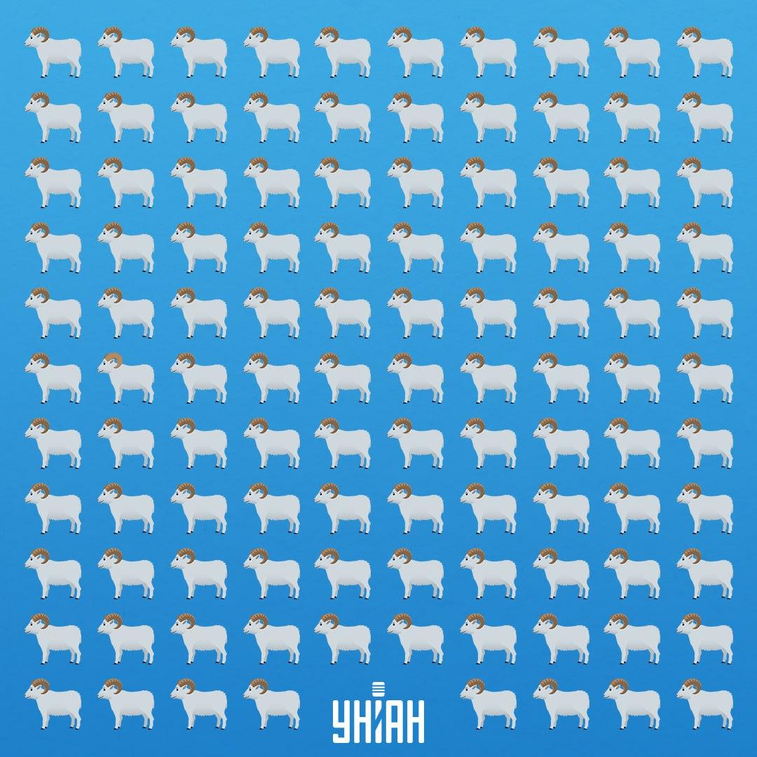 Der er 7 sekunder til at se et listigt dyr / Moje Collage Der er 7 sekunder til at se det snedige dyr / Moje Collage