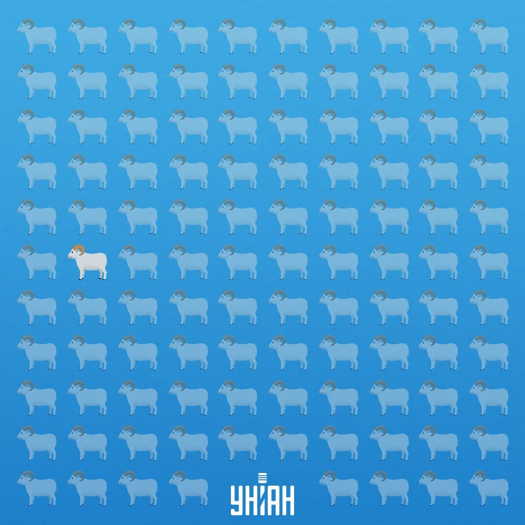 Han stod i syvende række på venstre side / Moje Collage Han var i syvende række på venstre side / Collage Moje