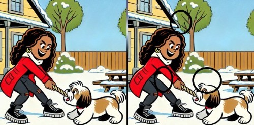 Find forskellene gåde - Løsning