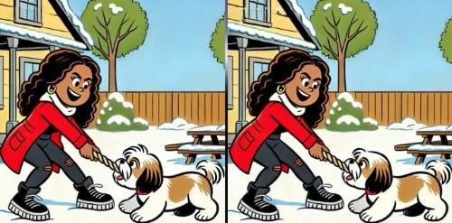 Find forskellene gåde - Billede 1