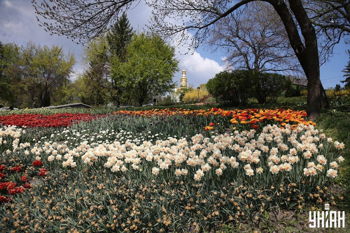 Find fuglen på mindre end 10 sekunder / collage Moje