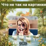 Find en grov fejl i et billede på 5 sekunder: en hurtig IQ-test Find en grov fejl i et billede på 5 sekunder: