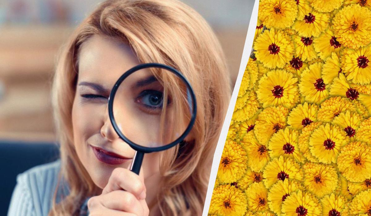 Kun 1 ud af 10 personer kan finde en hjort på et billede på 7 sekunder: en meget kompleks optisk illusion