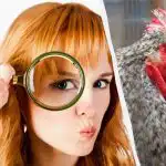 Kun en genial detektiv kan finde 5 forskelle på 15