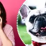 Super sofistikeret optisk illusion: kun en rigtig detektiv kan finde